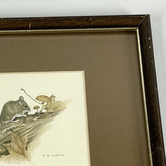 MG Loates Vintage 1970s Framed Print Mouse Mushrooms Woodland Animal 10.75x9” - Picture 3 of 9